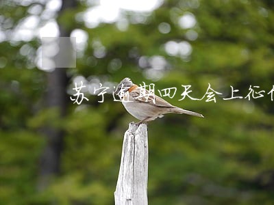 苏宁逾期四天会上征信吗 苏宁逾期四天会上征信吗