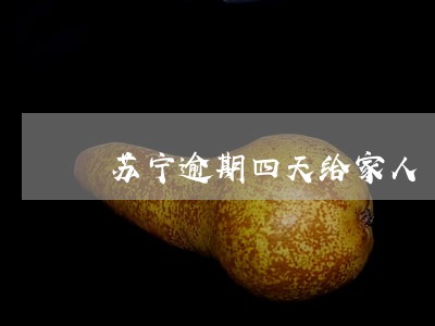 苏宁逾期四天给家人 苏宁逾期四天给家人