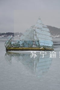 苏宁逾期回访 苏宁逾期回访