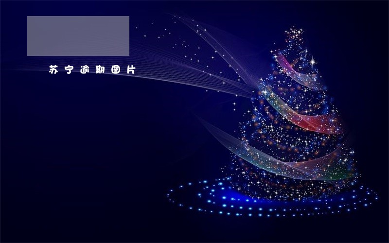 苏宁逾期图片 苏宁逾期图片
