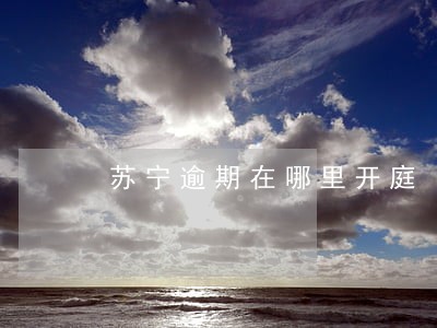苏宁逾期在哪里开庭 苏宁逾期在哪里开庭