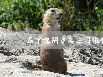 苏宁逾期多久上门催收 苏宁逾期多久上门催收
