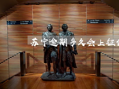 苏宁逾期多久会上征信 苏宁逾期多久会上征信