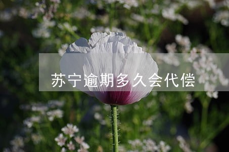 苏宁逾期多久会代偿 苏宁逾期多久会代偿