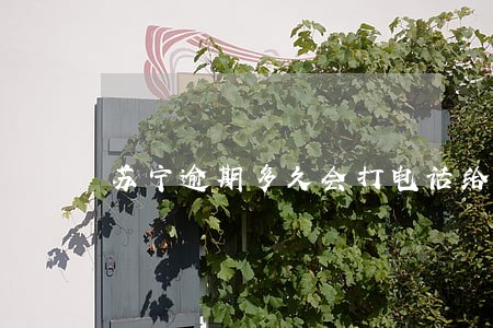 苏宁逾期多久会打电话给父母 苏宁逾期多久会打电话给父母