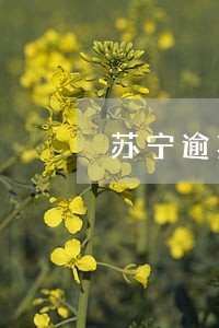 苏宁逾期多久会联系紧急联系人 苏宁逾期多久会联系紧急联系人