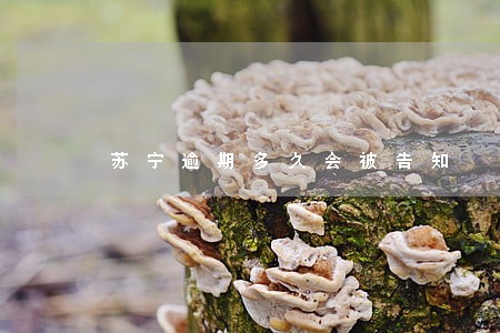 苏宁逾期多久会被告知 苏宁逾期多久会被告知