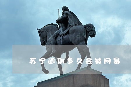 苏宁逾期多久会被网暴 苏宁逾期多久会被网暴