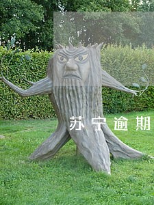 苏宁逾期多久征信黑 苏宁逾期多久征信黑