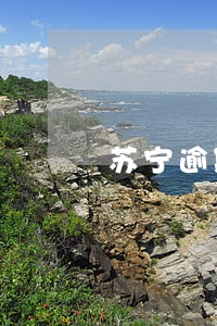 苏宁逾期多久恢复征信 苏宁逾期多久恢复征信