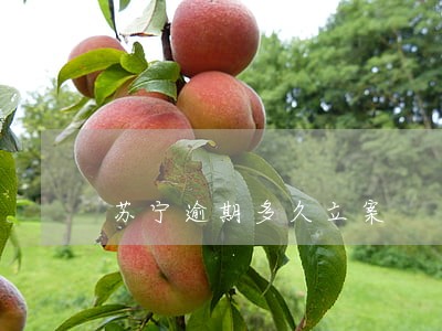 苏宁逾期多久立案 苏宁逾期多久立案