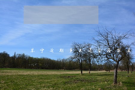 苏宁逾期多久还会给额度 苏宁逾期多久还会给额度