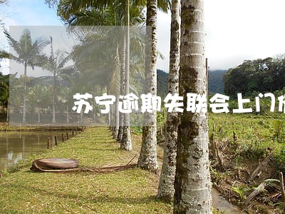 苏宁逾期失联会上门催账吗 苏宁逾期失联会上门催账吗