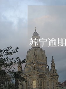 苏宁逾期好久了 苏宁逾期好久了
