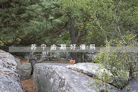 苏宁逾期好催吗 苏宁逾期好催吗