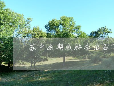 苏宁逾期威胁冻结名下资产 苏宁逾期威胁冻结名下资产