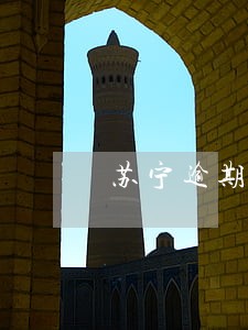 苏宁逾期客服催收 苏宁逾期客服催收