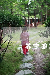 苏宁逾期寄材料 苏宁逾期寄材料