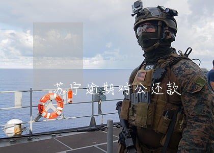苏宁逾期对公还款 苏宁逾期对公还款