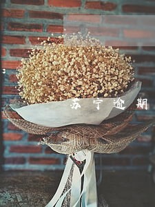 苏宁逾期开庭前还了会不会撤销
