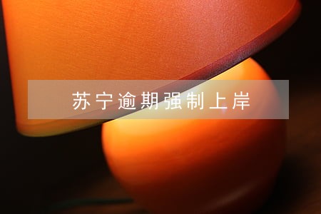 苏宁逾期强制上岸 苏宁逾期强制上岸
