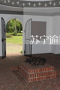 苏宁逾期强制扣款 苏宁逾期强制扣款