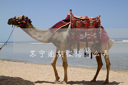 苏宁逾期征信怎么弄 苏宁逾期征信怎么弄