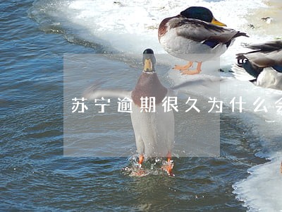 苏宁逾期很久为什么会扣一块钱