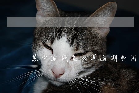 苏宁逾期怎么算逾期费用 苏宁逾期怎么算逾期费用