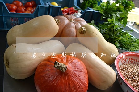 苏宁逾期排期通知短信