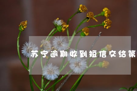 苏宁逾期收到短信交给第三方 苏宁逾期收到短信交给第三方