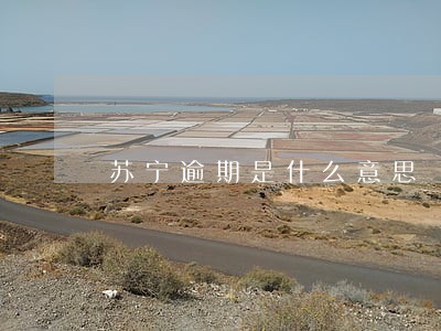 苏宁逾期是什么意思 苏宁逾期是什么意思