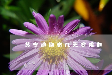苏宁逾期有几天宽限期 苏宁逾期有几天宽限期
