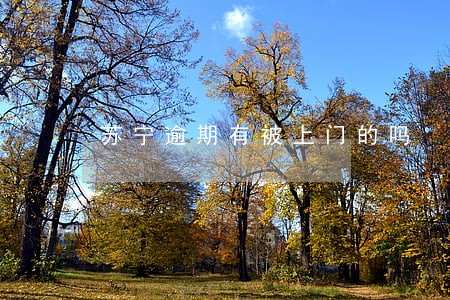 苏宁逾期有被上门的吗 苏宁逾期有被上门的吗