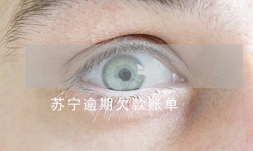苏宁逾期欠款账单 苏宁逾期欠款账单