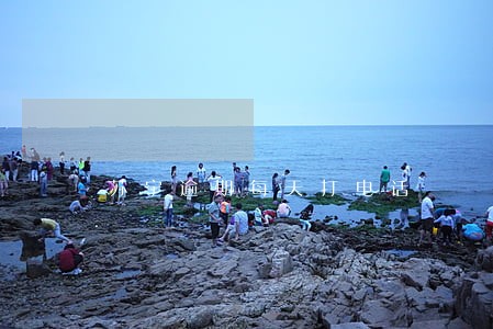 苏宁逾期每天打电话 苏宁逾期每天打电话