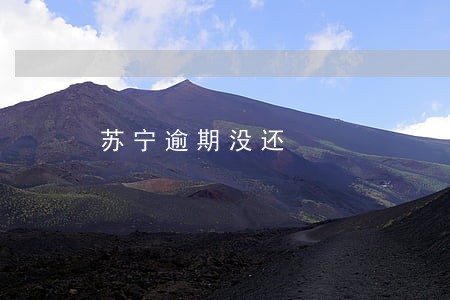 苏宁逾期没还 苏宁逾期没还