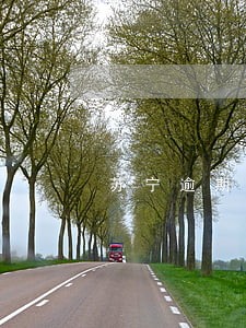 苏宁逾期没钱还怎么办 苏宁逾期没钱还怎么办