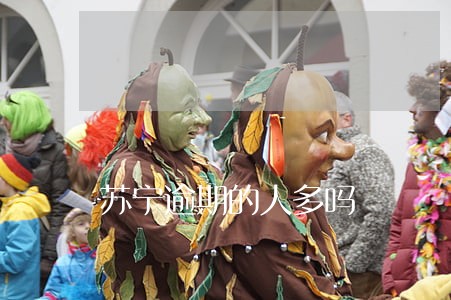 苏宁逾期的人多吗 苏宁逾期的人多吗