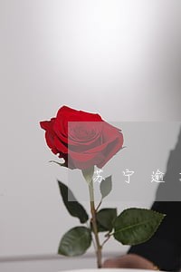 苏宁逾期的短信 苏宁逾期的短信