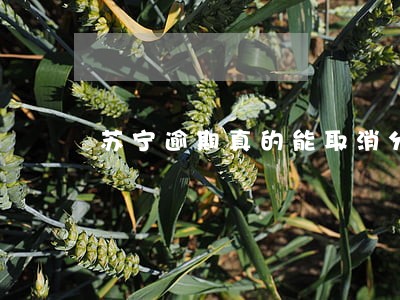 苏宁逾期真的能取消分期吗 苏宁逾期真的能取消分期吗
