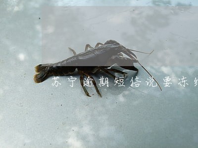 苏宁逾期短信说要冻结