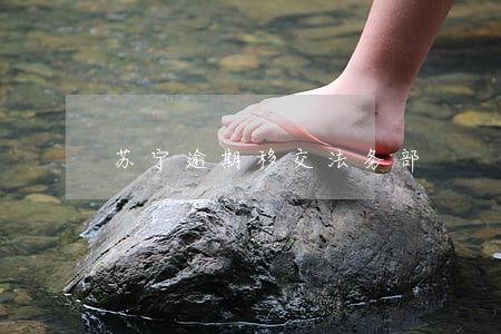 苏宁逾期移交法务部
