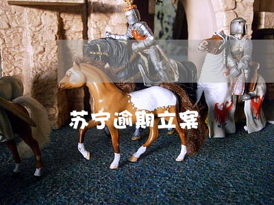 苏宁逾期立案