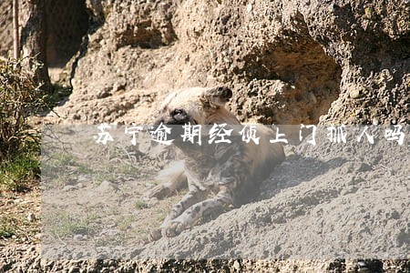苏宁逾期经侦上门抓人吗