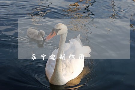 苏宁逾期结清 苏宁逾期结清