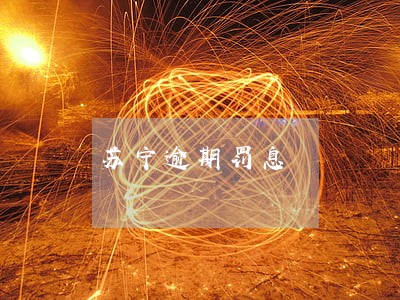 苏宁逾期罚息 苏宁逾期罚息
