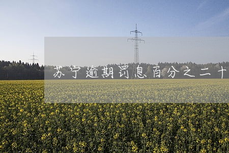 苏宁逾期罚息百分之二十四 苏宁逾期罚息百分之二十四