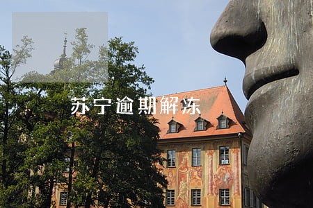 苏宁逾期解冻