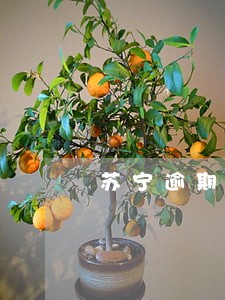 苏宁逾期说冻结银行卡 苏宁逾期说冻结银行卡